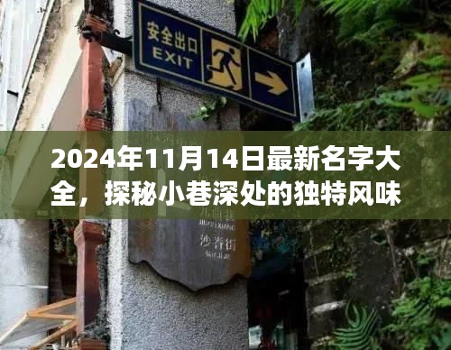 探秘小巷独特风味，揭秘2024年最新名字背后的故事与名字大全发布