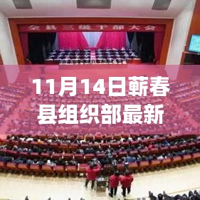 蕲春县组织部最新任免名单公布，新篇章正式开启