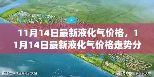 11月14日液化气价格走势分析，市场洞察与前瞻