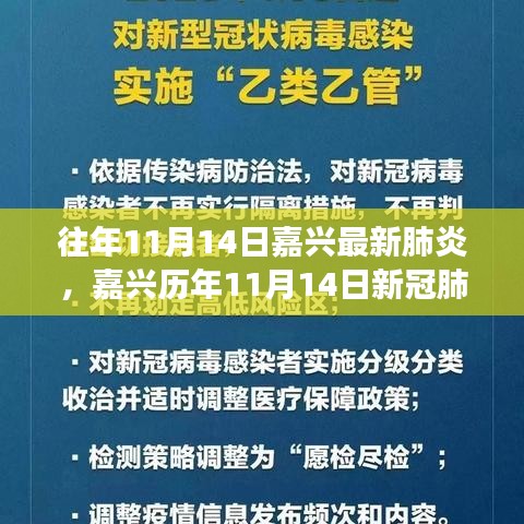 嘉兴历年11月14日新冠肺炎纪实，挑战与希望的交织篇章