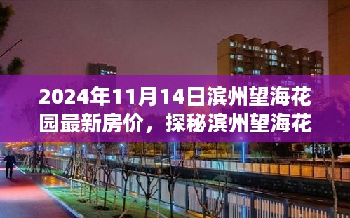 滨州望海花园最新房价揭秘，小巷特色小店与房价探秘（2024年）