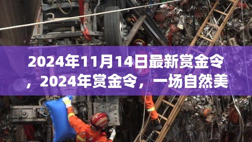 2024年赏金令，自然美景之旅，探寻内心宁静与平和