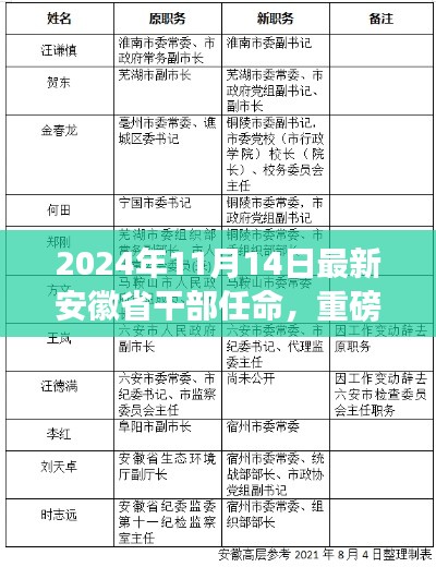 重磅！安徽省最新干部任命揭晓，未来领导者风采展望