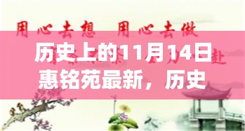 我的观点分析，历史上的11月14日与惠铭苑的最新演变及其影响