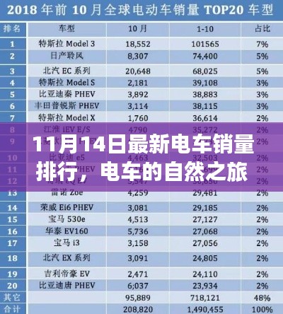 电车的自然之旅，最新销量排行榜背后的故事（11月最新数据）