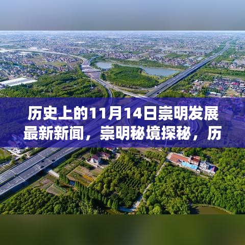 历史上的11月14日，崇明发展最新新闻揭秘，自然美景下的探秘之旅