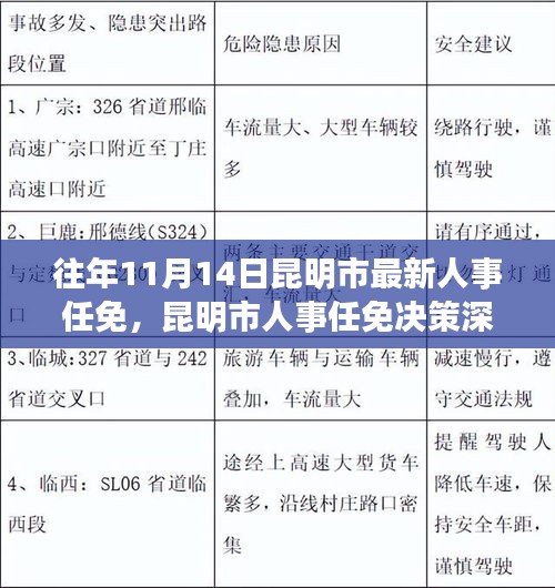 历年11月14日昆明市人事任免解析，深度探讨人事决策与变动视角