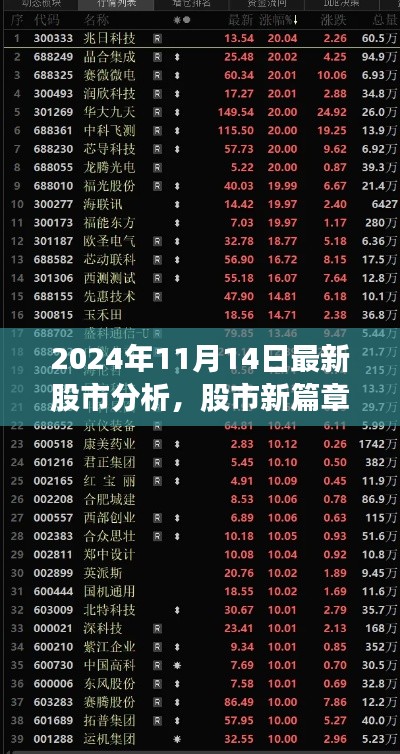 2024年11月股市新篇章，洞悉市场变化，拥抱自信与成就分析报告