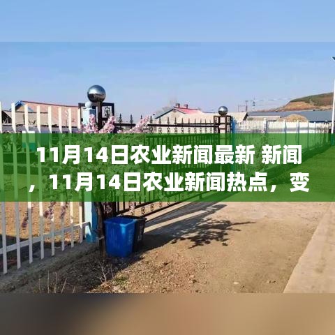 11月14日农业新闻热点，变革的田野上，学习带来的自信与成就感