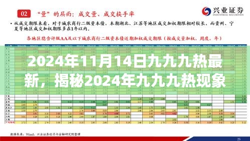 揭秘2024年九九九热现象，深度解析趋势、要点与影响