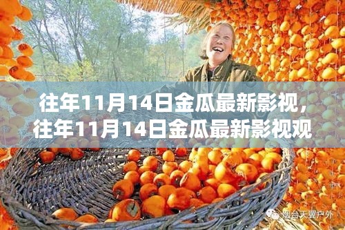 往年11月14日金瓜影视指南，从初学者到进阶用户的全方位教程及最新影视观看体验