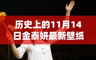 金泰妍11月14日壁纸新纪元，探寻独特魅力与历史壁纸回顾