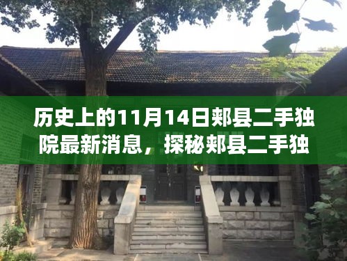 历史与现代的交融，郏县二手独院最新消息与小巷特色小店探秘