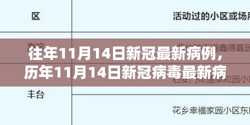 历年11月14日新冠病毒病例深度解析与最新病例报告