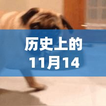 评价 第16页