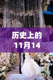 爱在十一月十四日，独家温馨婚礼流程与记忆