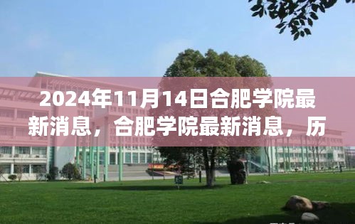 合肥学院最新动态，历史脉络下的深度洞察与未来展望（2024年11月）