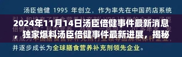 独家揭秘，汤臣倍健事件最新进展与深度解析（2024年11月14日最新消息）