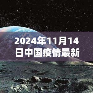 2024年11月14日中国疫情最新消息全面解析，青年关注焦点