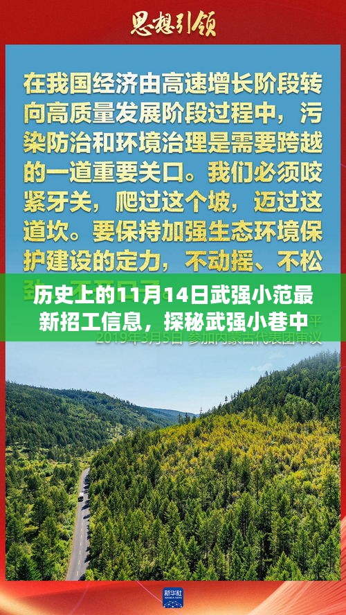 探秘武强小巷隐藏宝藏，最新招工信息与特色小店之旅（11月14日）