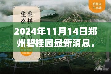 揭秘郑州碧桂园，最新动态全解析（2024年11月14日更新）