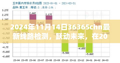 跃动未来，2024年11月14日36365chn最新线路检测与变化共舞，开启无限可能