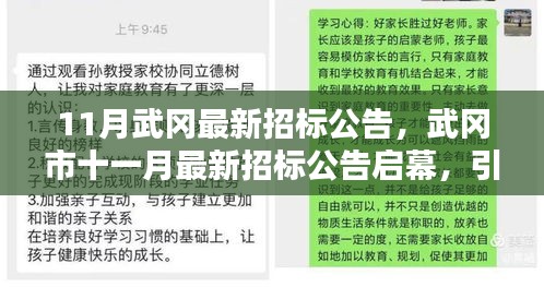 武冈市最新招标公告启幕，引领新一轮投资热潮，十一月招标信息一览