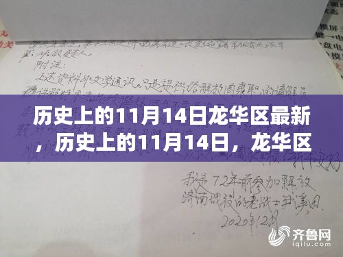 历史上的11月14日，龙华区最新进展全面评测与回顾