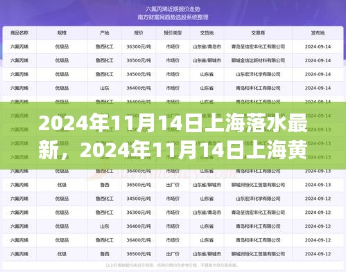 2024年11月14日上海黄浦江落水事件最新进展