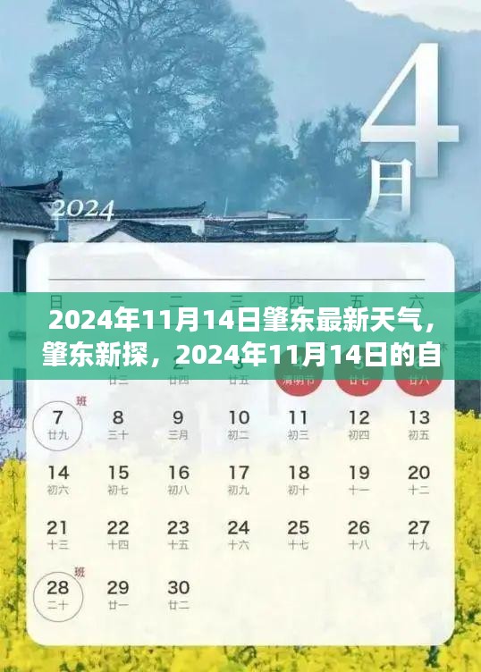 肇东市天气预报，探索心灵与自然之旅的静谧之旅日（2024年11月14日）