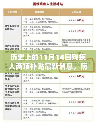 历史上的11月14日，残疾人两项补贴的最新进展及其深远影响