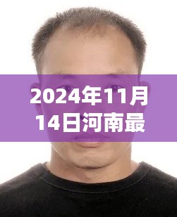 河南最新通缉犯名单公布，涉案人员信息详解与公众安全警示（XXXX年）