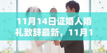 最新证婚人婚礼致辞精选，全面评测与介绍（11月14日）