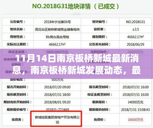 南京板桥新城最新动态深度解读与观点碰撞，11月14日更新消息