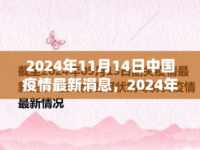 2024年11月14日中国疫情最新动态及最新消息