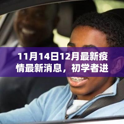 11月14日至12月最新疫情消息，初学者进阶指南与动态掌握