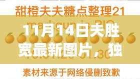 独家解析，夫胜宽最新图片集——特性、体验、竞品对比深度剖析与用户洞察（11月14日更新）