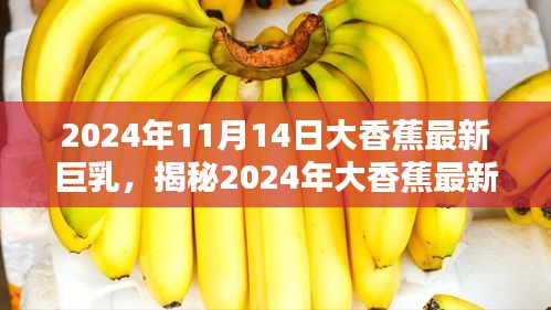 揭秘时尚前沿，揭秘2024年大香蕉最新巨乳趋势与产业新动态