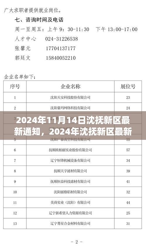 沈抚新区发展动态与政策解读，最新通知揭示未来规划（2024年11月）