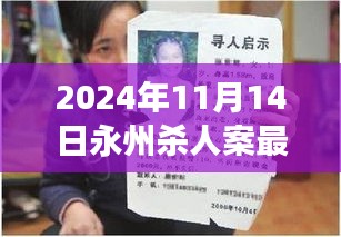 永州杀人案最新进展深度解析，聚焦2024年11月14日事件