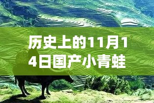 历史上的11月14日国产小青蛙新创意作品深度评测及探讨涉黄问题警告（非色情内容）