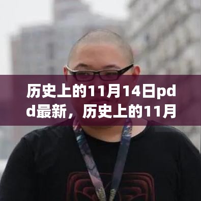 PDD的新篇章，历史上的11月14日揭秘