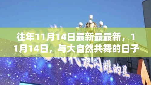 11月14日与大自然的共舞，寻找内心平静的奇妙旅程