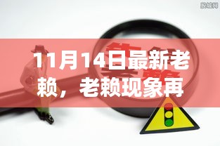 11月14日新视角，老赖现象再观察与深度剖析