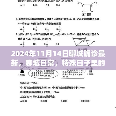 聊城特殊日子温情确诊之旅，最新进展与日常观察（2024年11月14日）