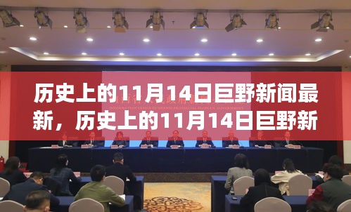 历史上的11月14日巨野新闻深度解析，从某某视角看最新事件