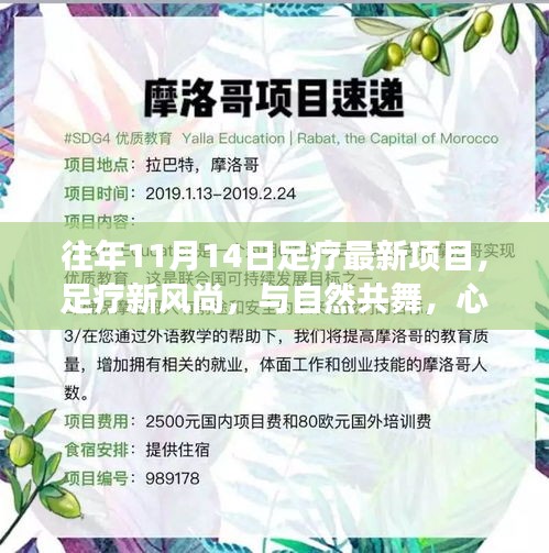 往年11月14日足疗新项目揭秘，开启心灵之旅，体验与自然共舞的新风尚