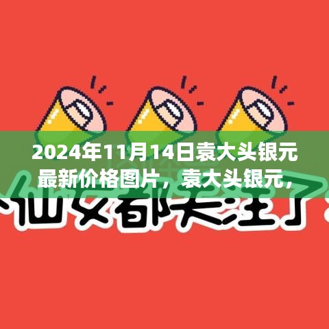 袁大头银元最新价格与价值展现，探索2024年11月14日的最新动态及图片