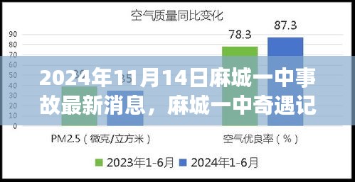 麻城一中奇遇记，一场意料之外的温馨冒险（最新消息）