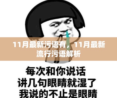 11月最新流行污语解析，热门污语一网打尽